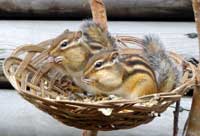 �G�]�V�}���X