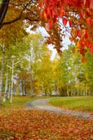 ��f���΂̍g�t